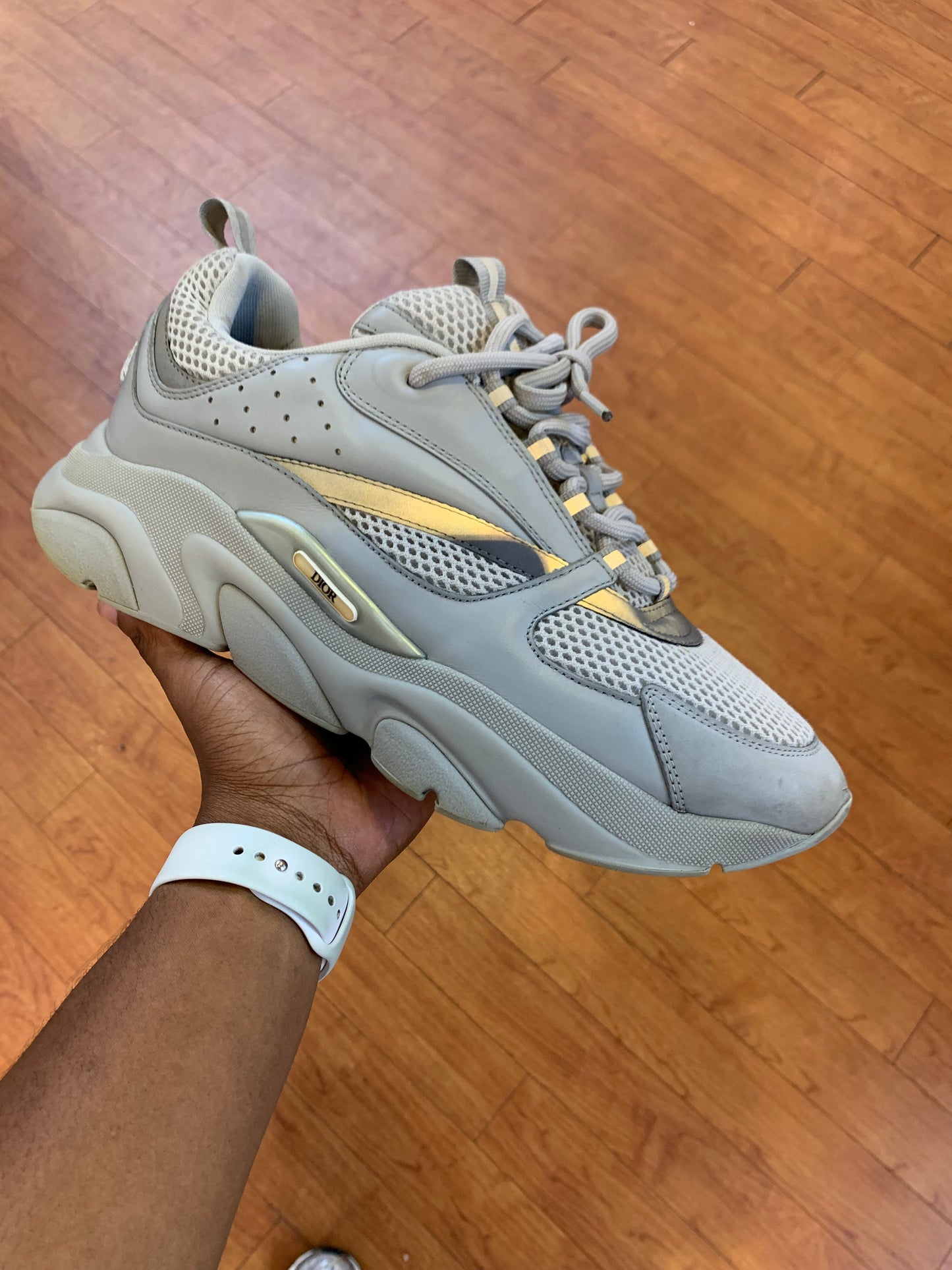 Dior B22 Grey (Used)