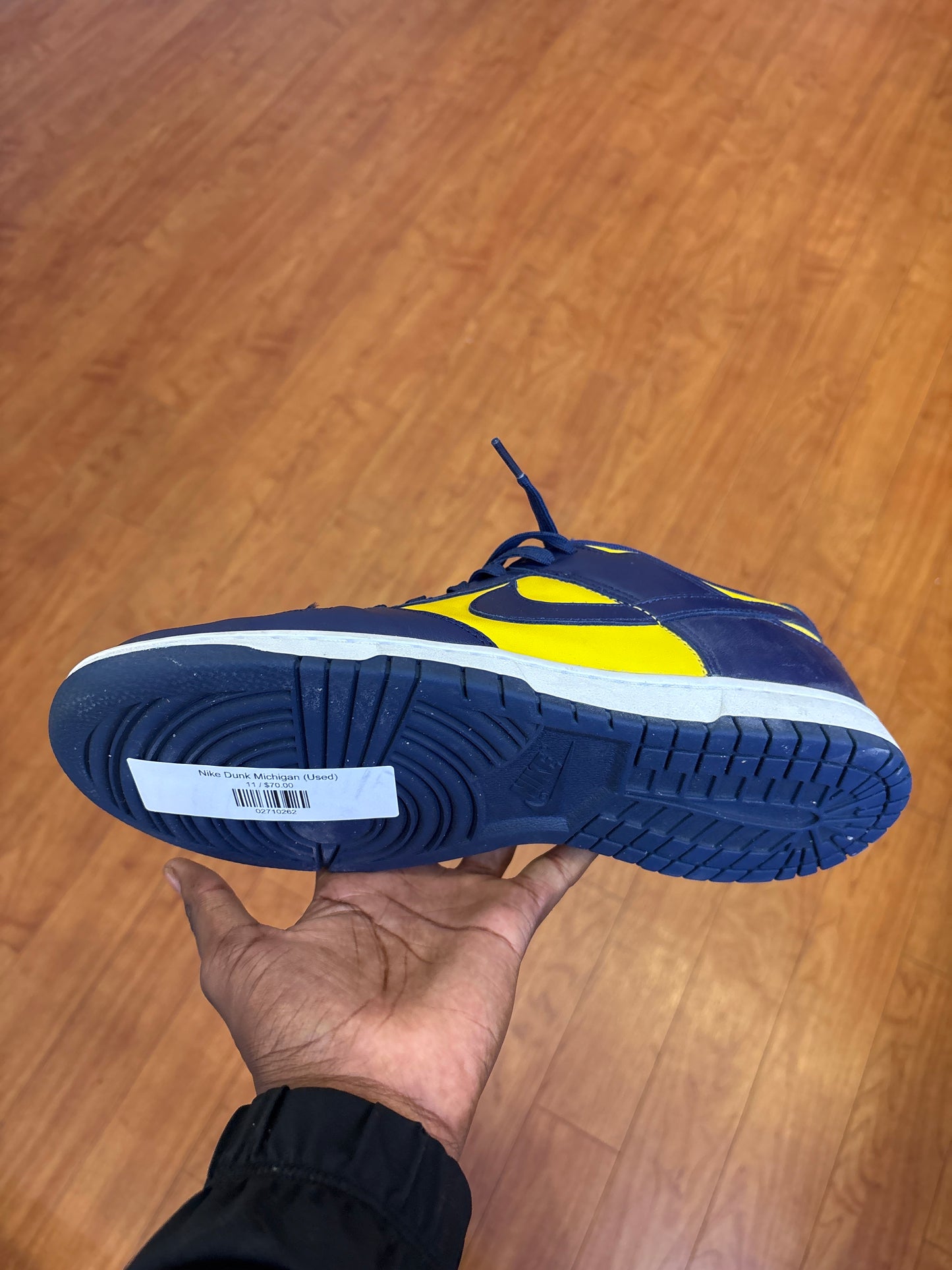 Nike Dunk Michigan (Used)