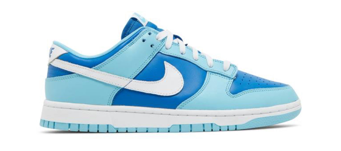 Nike Dunk Low Argon (Used)
