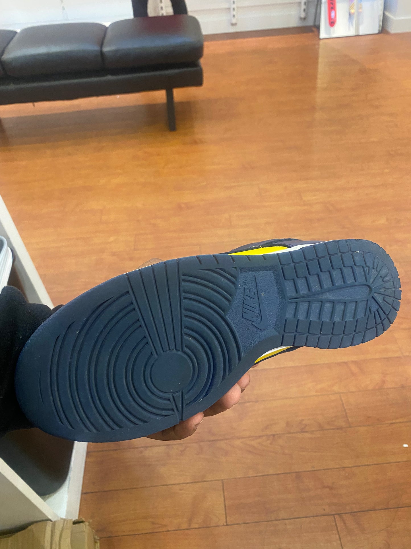 Nike Dunk Low Michigan (Used)