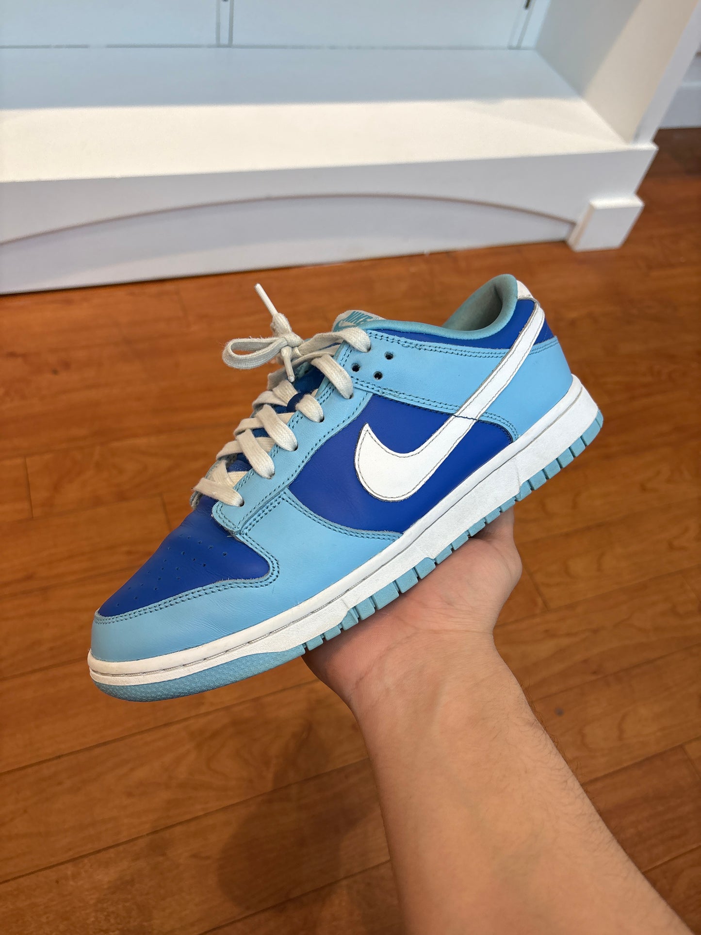 Nike Dunk Low Argon (Used)