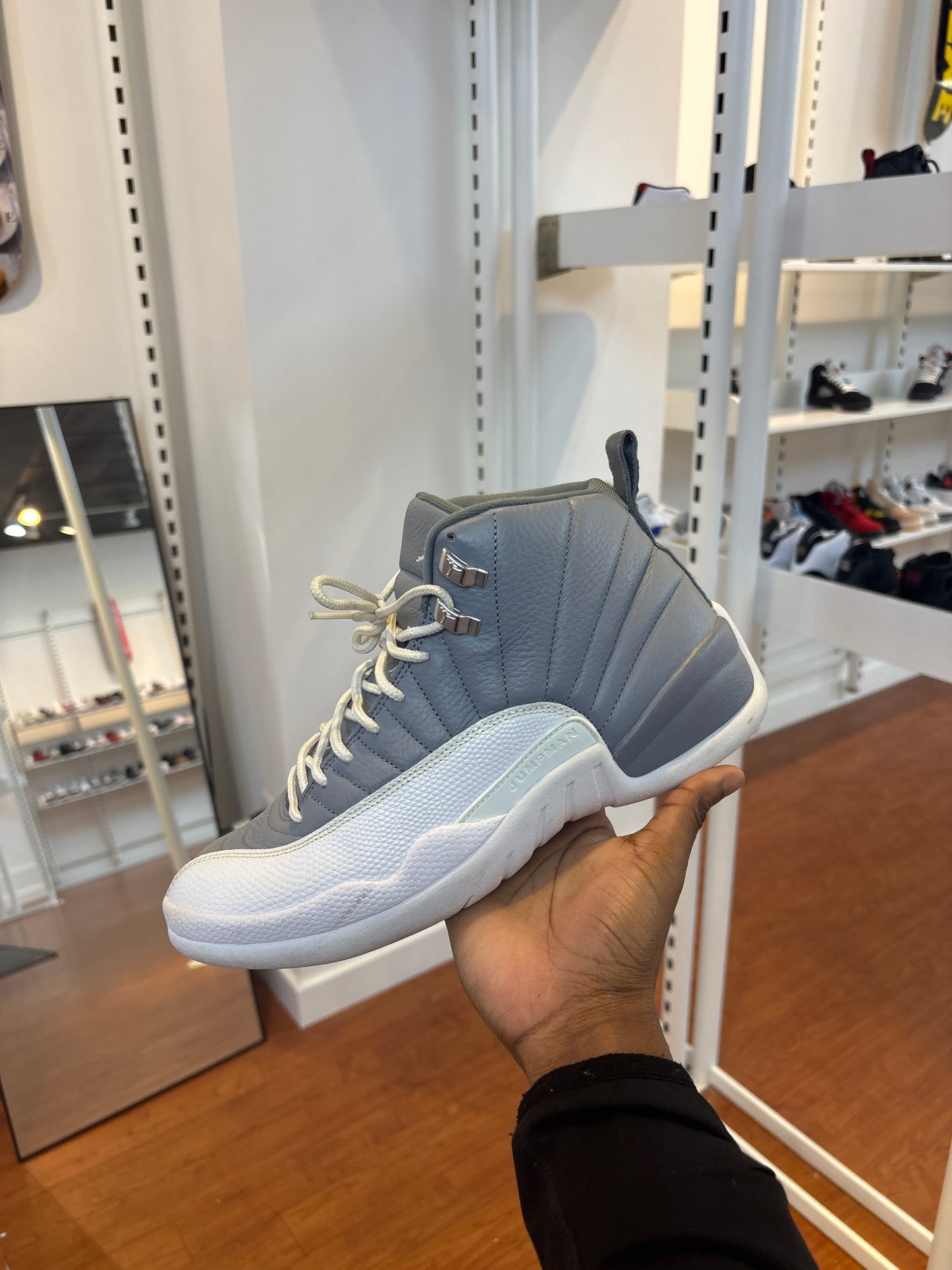 Jordan 12 Stealth (Used)