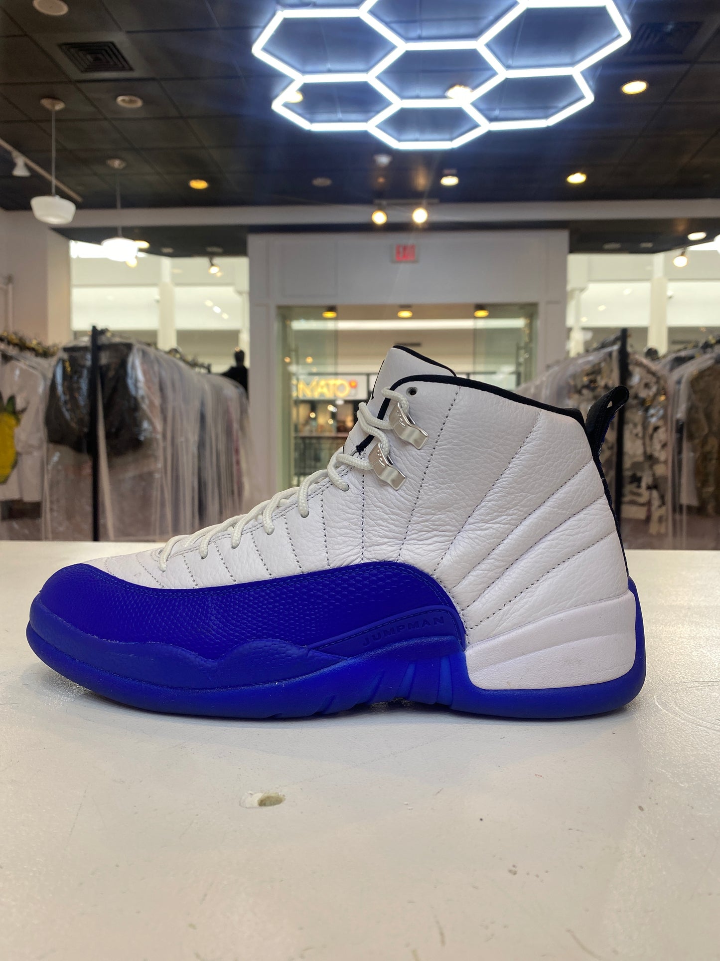 Jordan 12 Blueberry (Used)