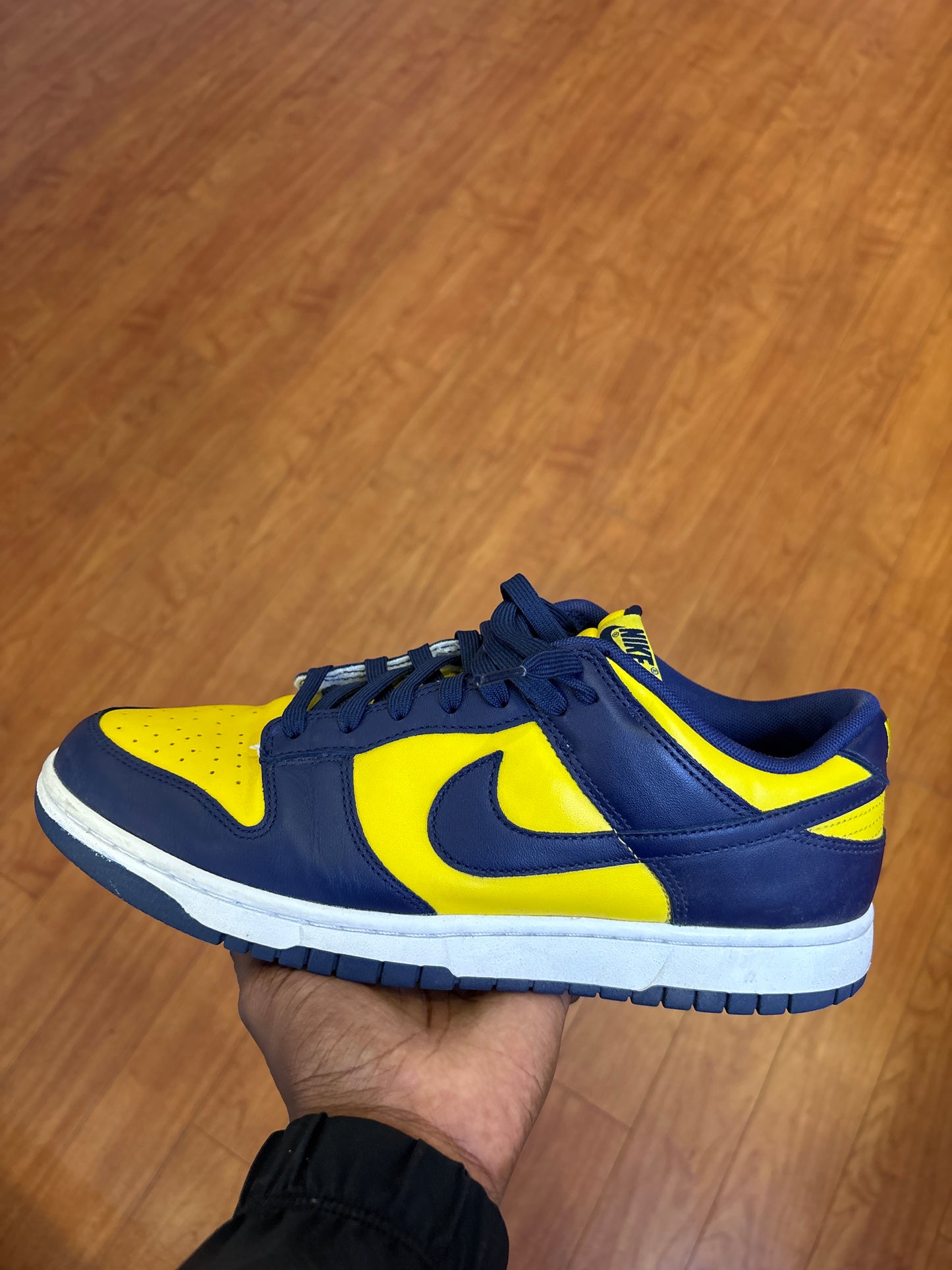 Nike Dunk Michigan (Used)