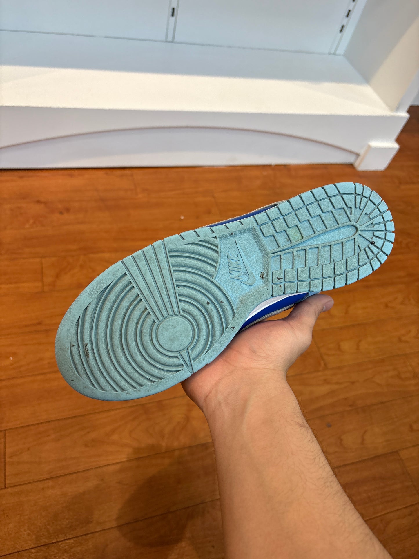 Nike Dunk Low Argon (Used)