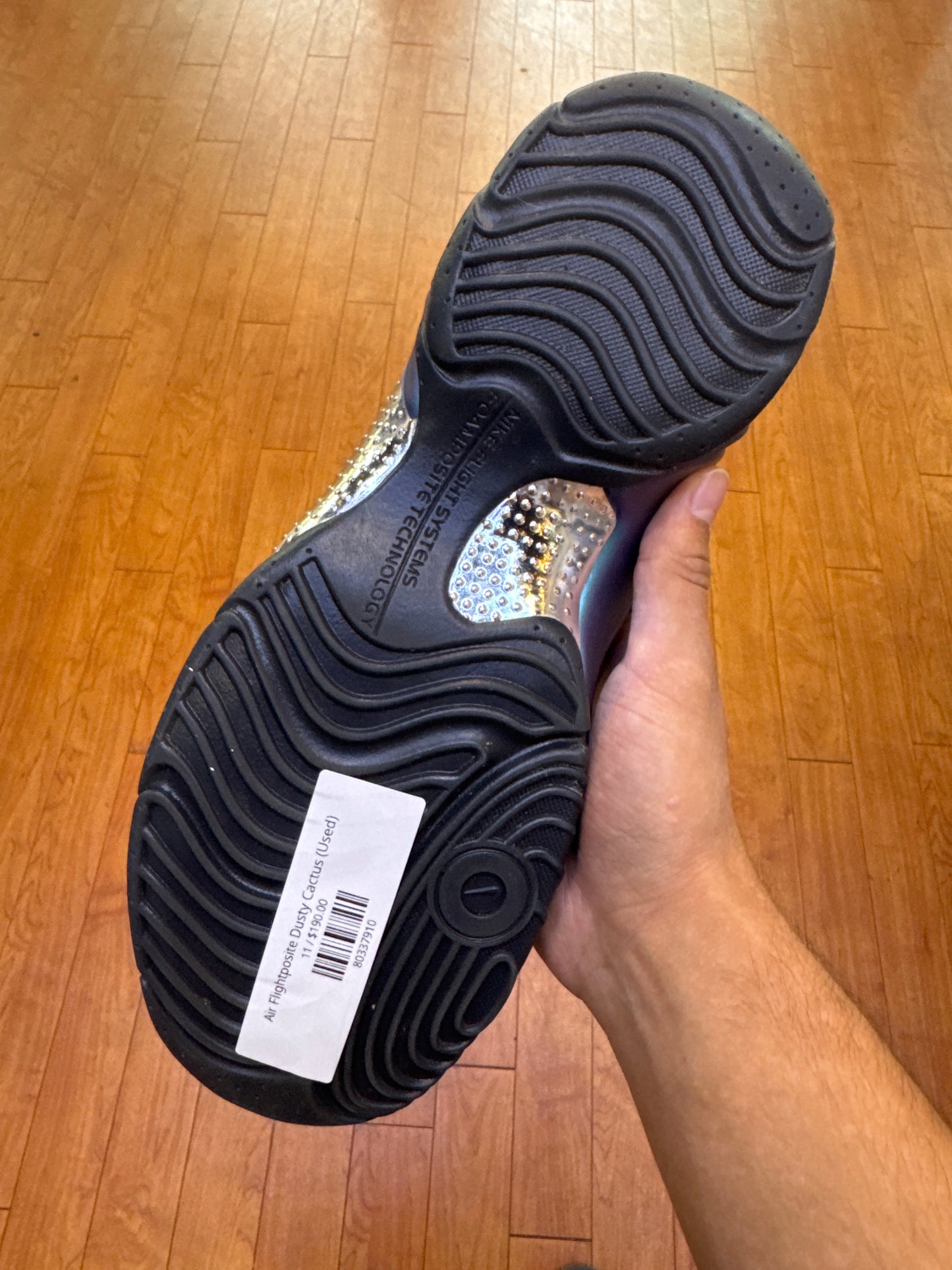 Air Flightposite Dusty Cactus (Used)