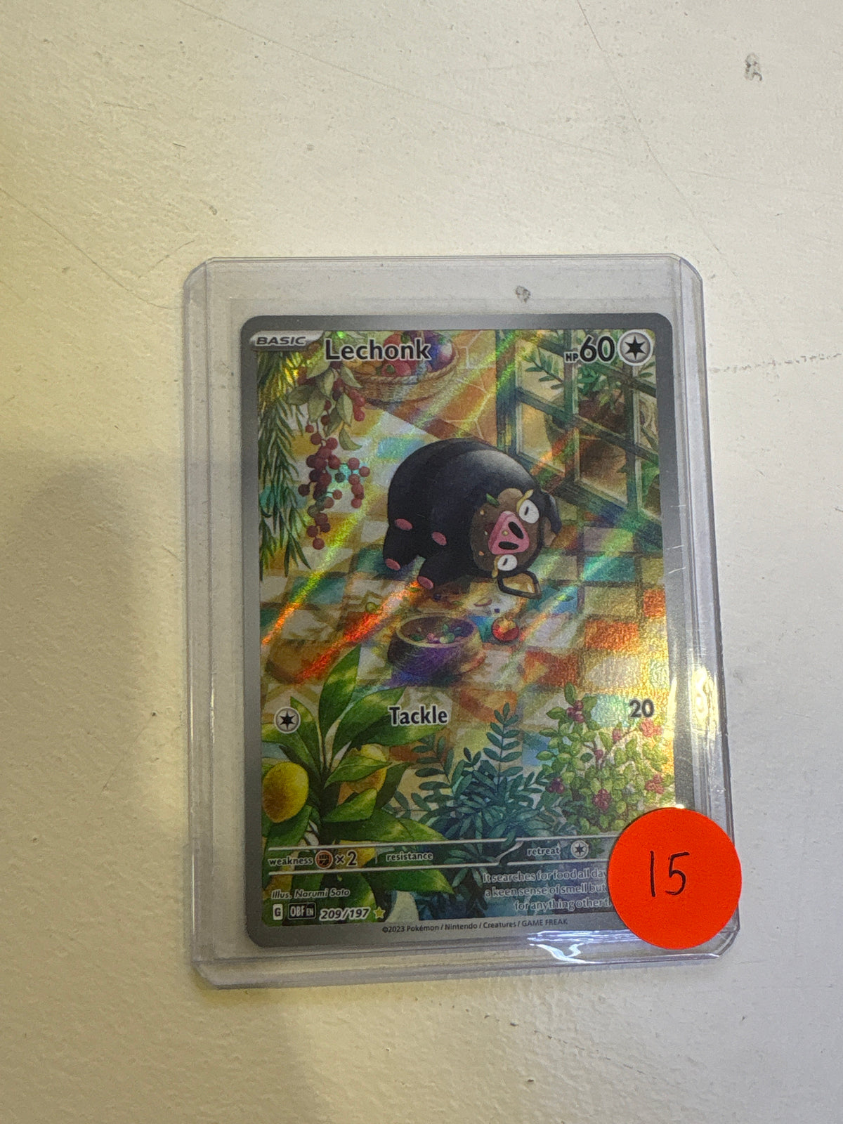 Lechonk Pokemon Card