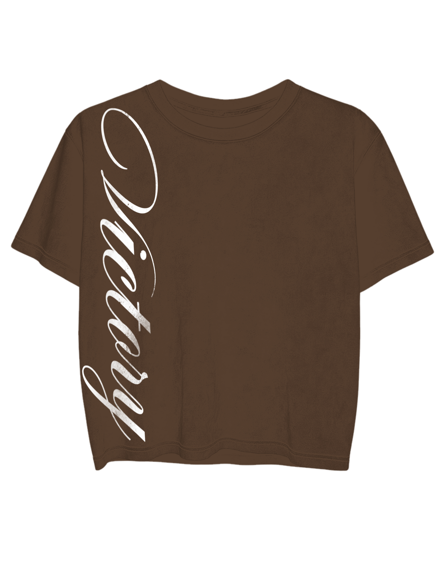 VIOP “Lead The Way” Brown Tee