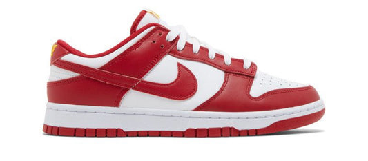 Nike Dunk Low Gym Red (Used)