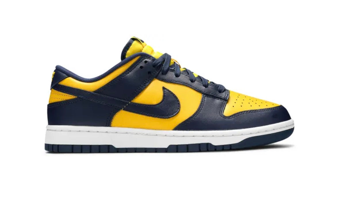 Nike Dunk Michigan (Used)