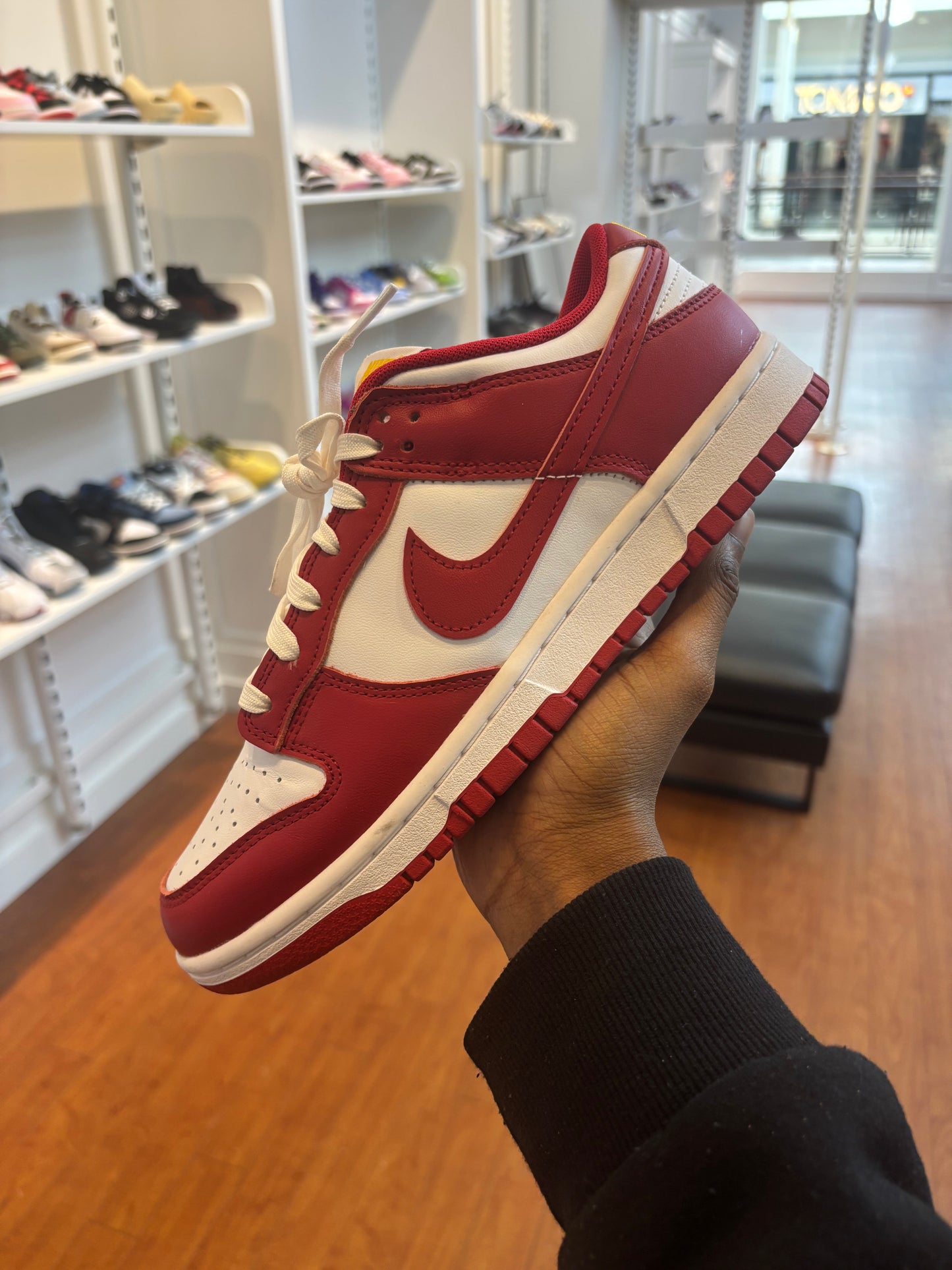 Nike Dunk Low Gym Red (Used)